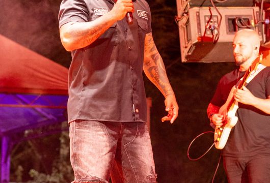 Descrição da Imagem 1